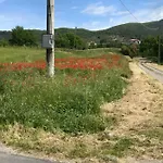 Roccaccia