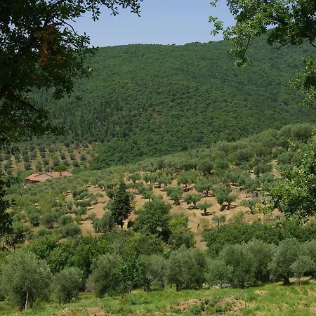 Roccaccia * Tuoro sul Trasimeno