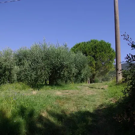 Apartamento Roccaccia