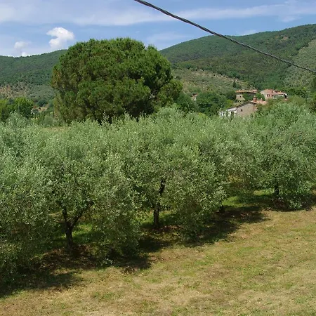 Apartment Roccaccia