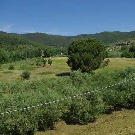 Roccaccia