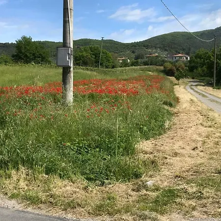 Roccaccia