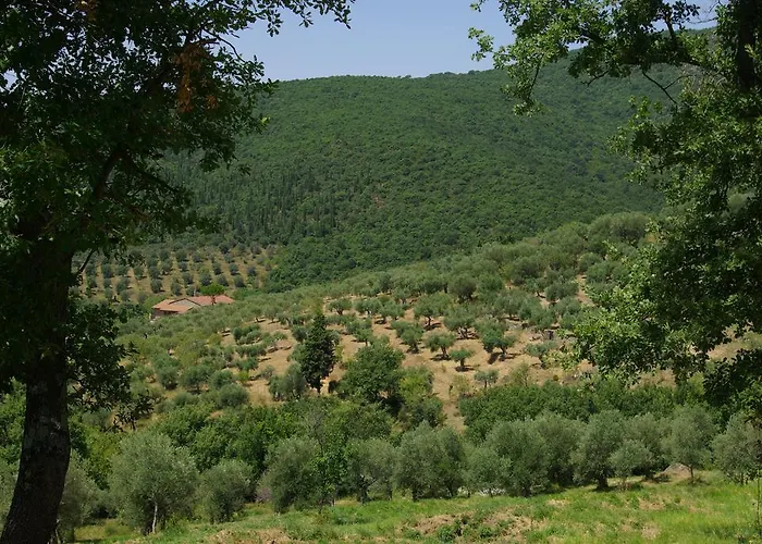 Roccaccia * Tuoro sul Trasimeno