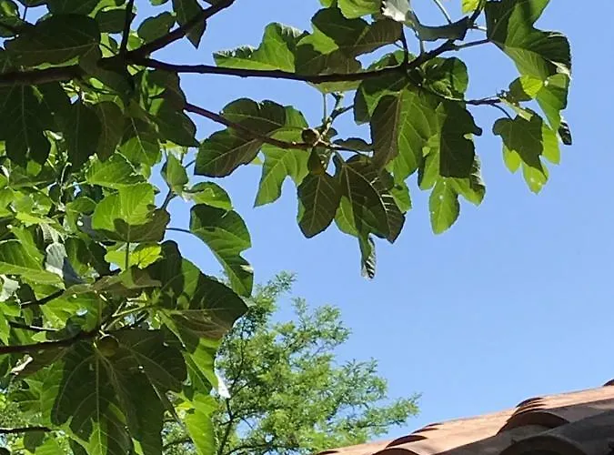 Apartament Roccaccia