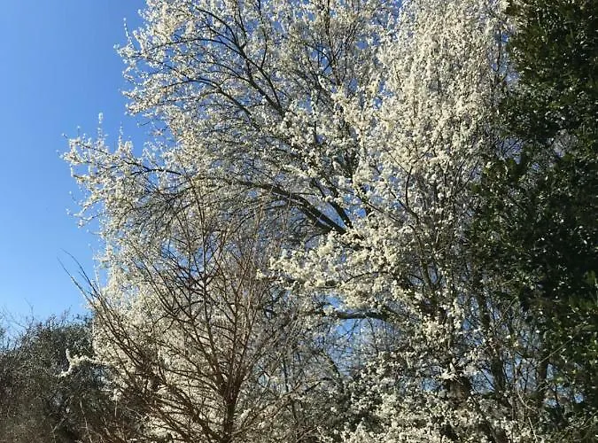 Roccaccia Apartamento